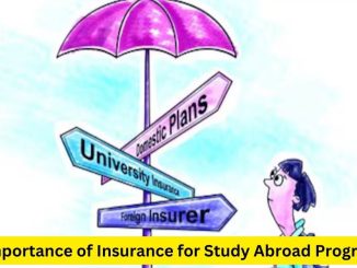 Ensuring Safety and Security: The Importance of Insurance for Study Abroad Programs