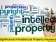 Preserving Innovation: The Significance of Intellectual Property Insurance