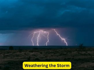 Weathering the Storm: Exploring Weather-Related Insurance Products