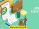 Mastering the Craft: The Art of Legal Consulting
